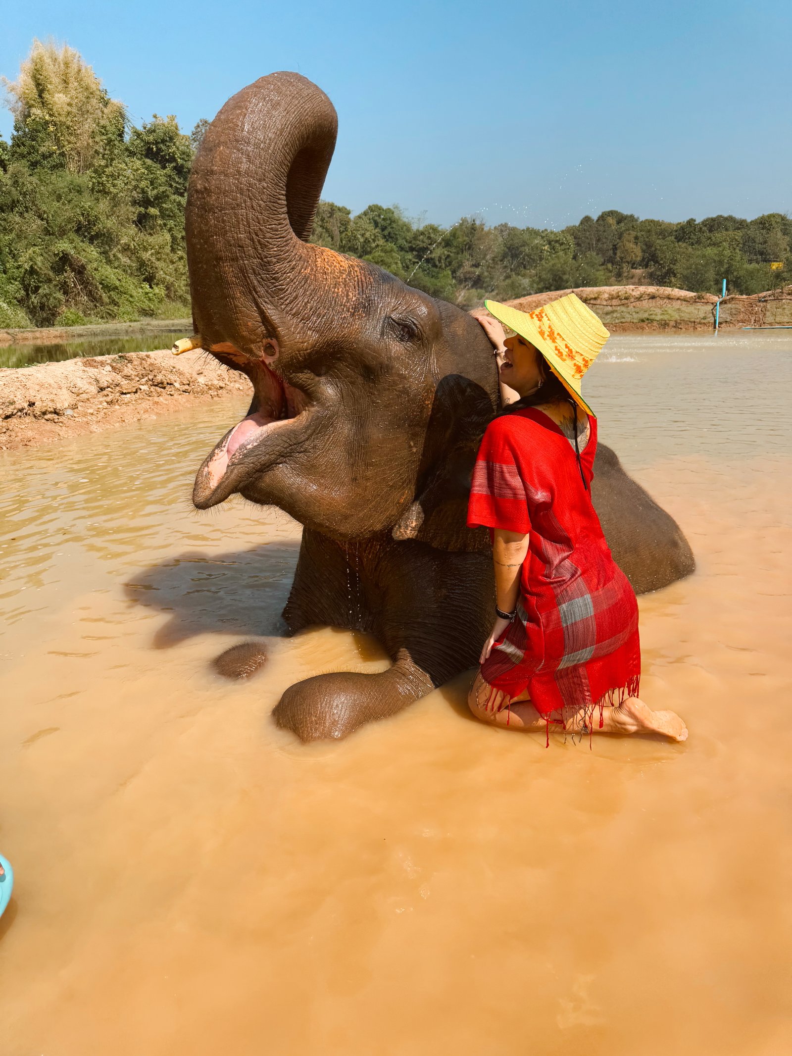 Denise com um elefante num santuário na Tailândia
